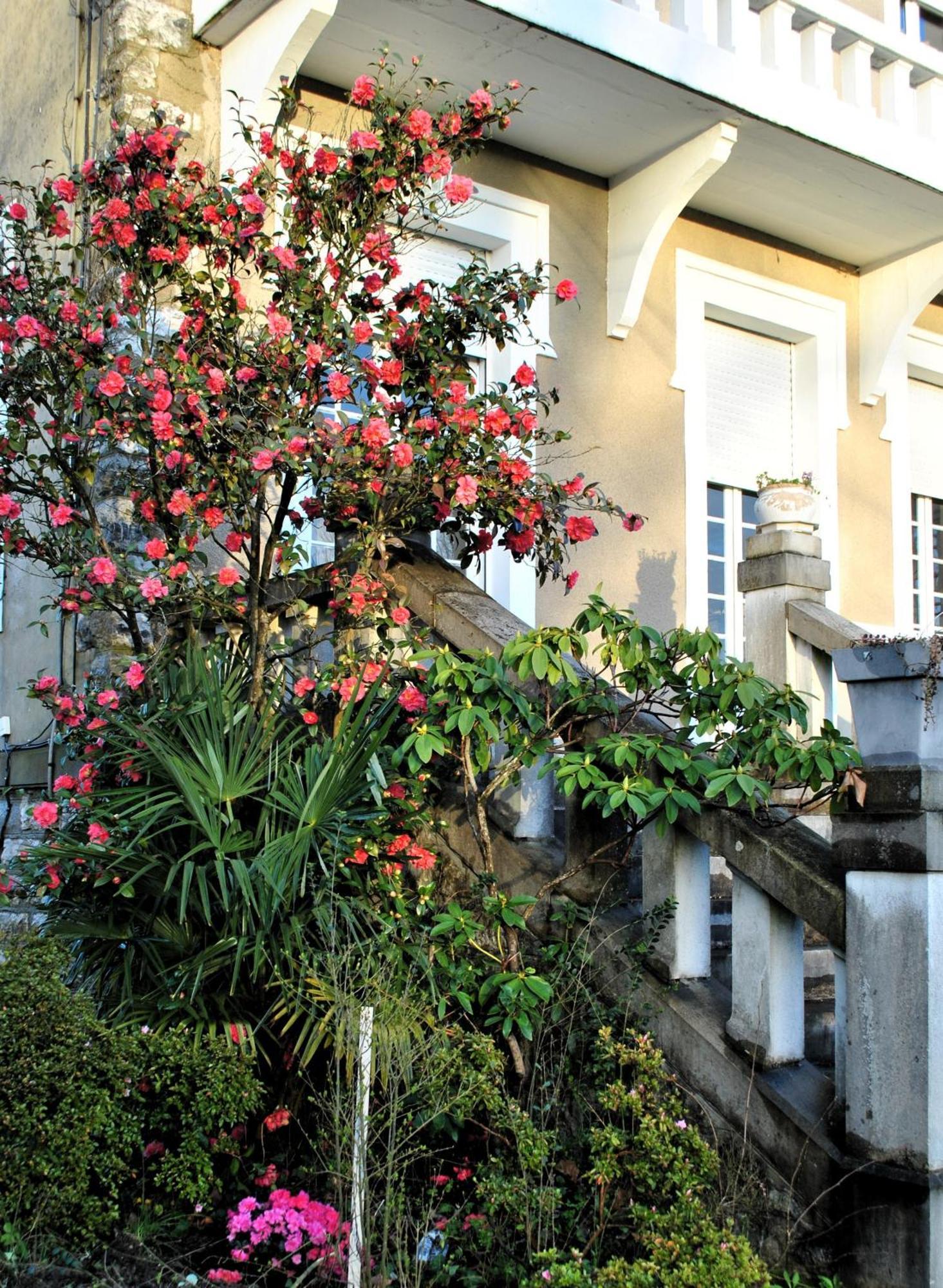 Villa Hortebise Salies-de-Bearn Exterior photo